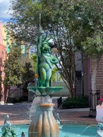 IMG_6417.jpeg