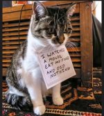 IMG_7091.jpeg