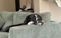 IMG_7137.jpeg