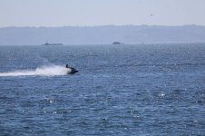 IMG_4415.JPG