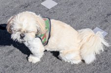 IMG_4402.jpg