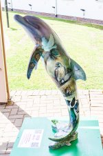 IMG_4365.jpg