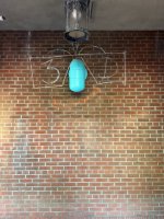 IMG_1624.jpeg