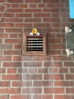 IMG_1625.jpeg