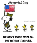 1748120528231.png