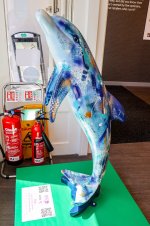 IMG_4457.jpg