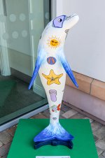 IMG_4477.jpg