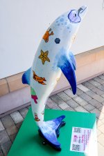 IMG_4479.jpg
