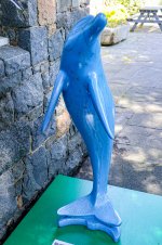 IMG_4481.jpg