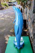 IMG_4484.jpg