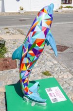 IMG_4487.jpg
