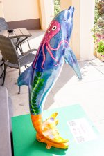 IMG_4556.jpg