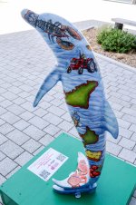 IMG_4571.jpg
