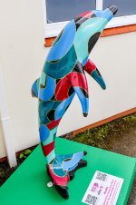 IMG_4598.jpg