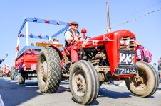 IMG_4099.jpg