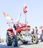 IMG_4236.jpg