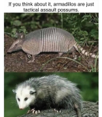 1748618391062.png