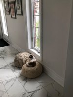 IMG_1007.jpeg