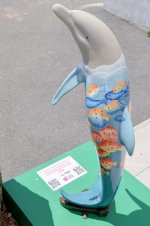 IMG_4717.jpg