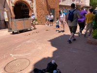 IMG_0764.jpeg