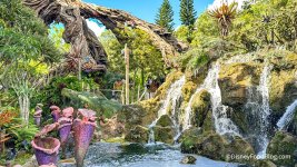 2024-wdw-disneys-animal-kingdom-pandora-foamy-water.jpg