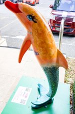 IMG_4781.jpg