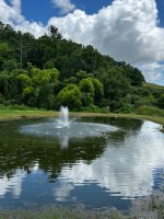 IMG_6179.jpeg