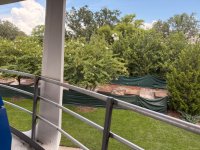 IMG_1331.jpeg