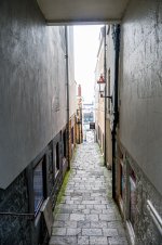 IMG_4807.jpg