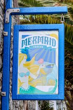 IMG_4875.jpg