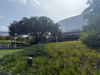IMG_1149.jpeg
