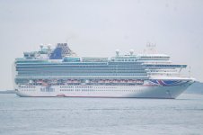 IMG_5041.jpg