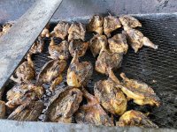 IMG_7555.jpeg