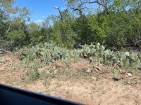 IMG_7616.jpeg