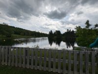 IMG_0104.jpeg