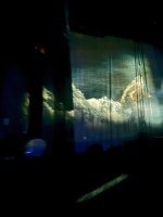 IMG_1332.jpeg