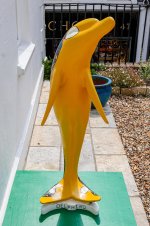 IMG_5080.jpg