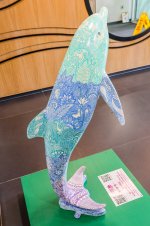 IMG_5089.jpg