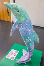IMG_5091.jpg