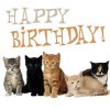 Happy_Birthday_Cats.jpg
