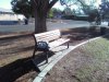 Picture0860.jpg