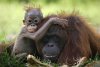 ss-110502-mothers-day-AT-11.ss_full.jpg