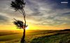 beautiful-dawn-on-the-field-6633-1280x800.jpeg