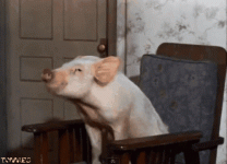 IMG_7724.gif