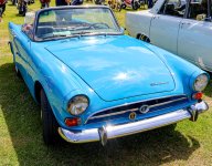 IMG_5217.jpg