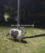 1750245571787.png