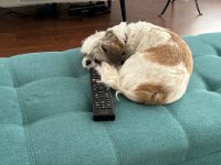 IMG_0182.jpeg
