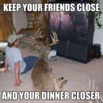 IMG_6150.jpeg
