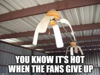 IMG_3476.jpeg