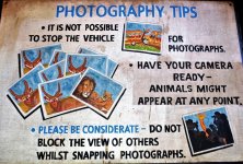 animal kingdom photo tips.JPG